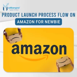 Product Launch Process Flow on Amazon for Newbie