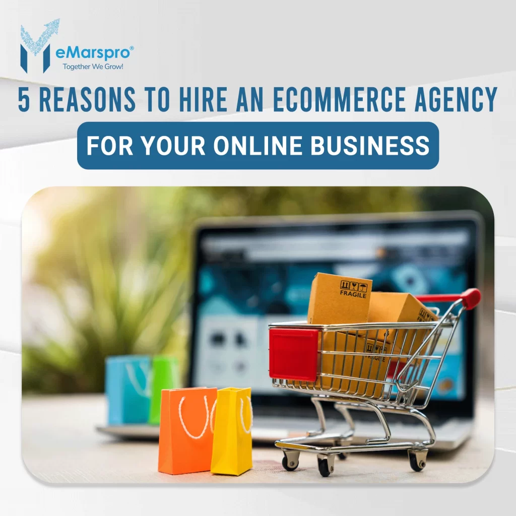 5 Reasons to hire an eCommerce Agency for your Online Business: