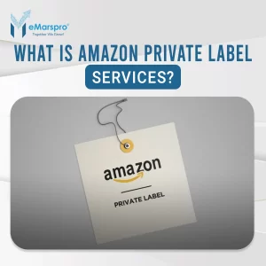 What is Amazon Private Label Services?
