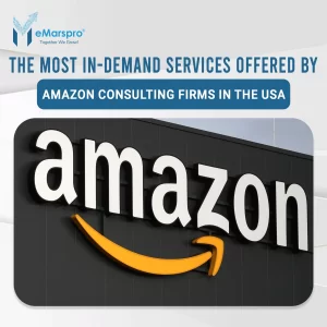 The Most In-Demand Services Offered by Amazon Consulting Firms in the USA