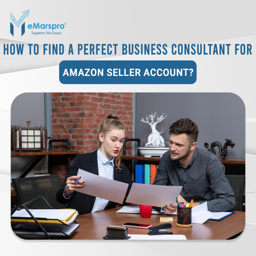 How to Find a Perfect Business Consultant for Amazon Seller Account