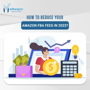 How to Reduce Your Amazon FBA Fees in 2023?
