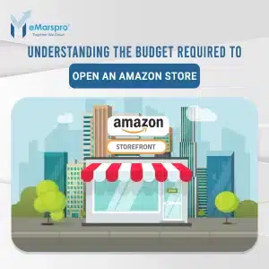 Understanding the Budget Required to Open an Amazon Store