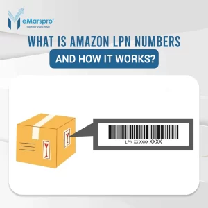What is Amazon LPN Numbers and How it Works?