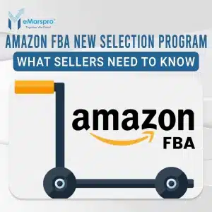 Ultimate Guide to Amazon FBA New Selection Program