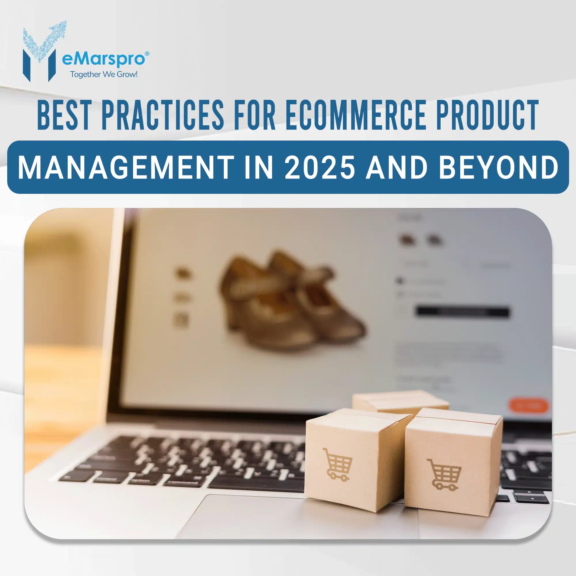 ecommerce product management
