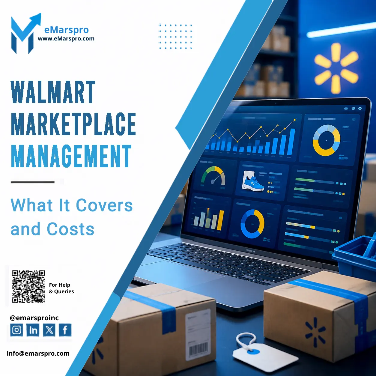 Walmart account management services dashboard showing sales growth